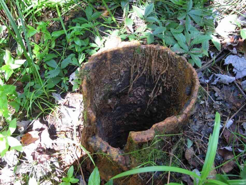 An abandoned, unplugged well near the Allegheny National Forest in northwest Pennsylvania.