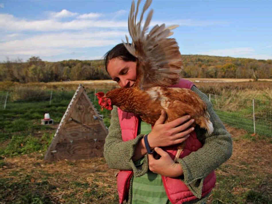 Chris Costa and one of her chickens on her farm in Downingtown, Pa. Costa and her partner, T.J., found the land for this farm through a sustainable agriculture program.