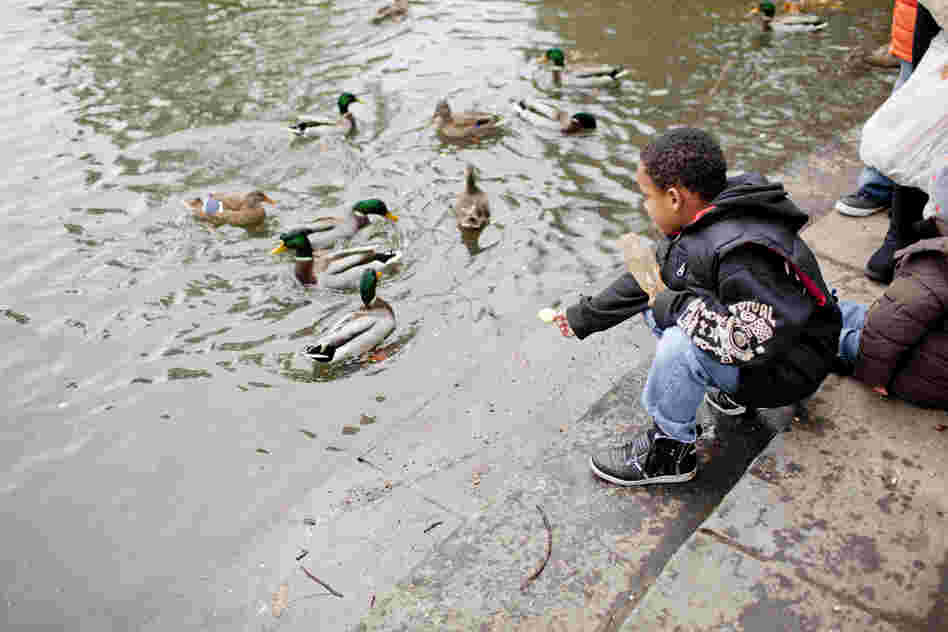 Plenty of folks were just out for a walk in the park.