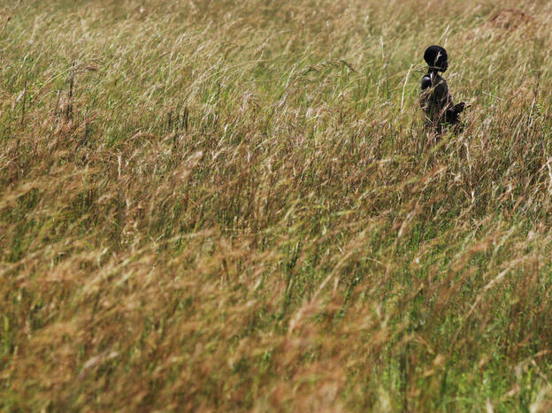 The first prehistoric chef who looked out at a field of grass in Africa and said, "dinner!" may have helped our ancestors use new resources in new locations.
