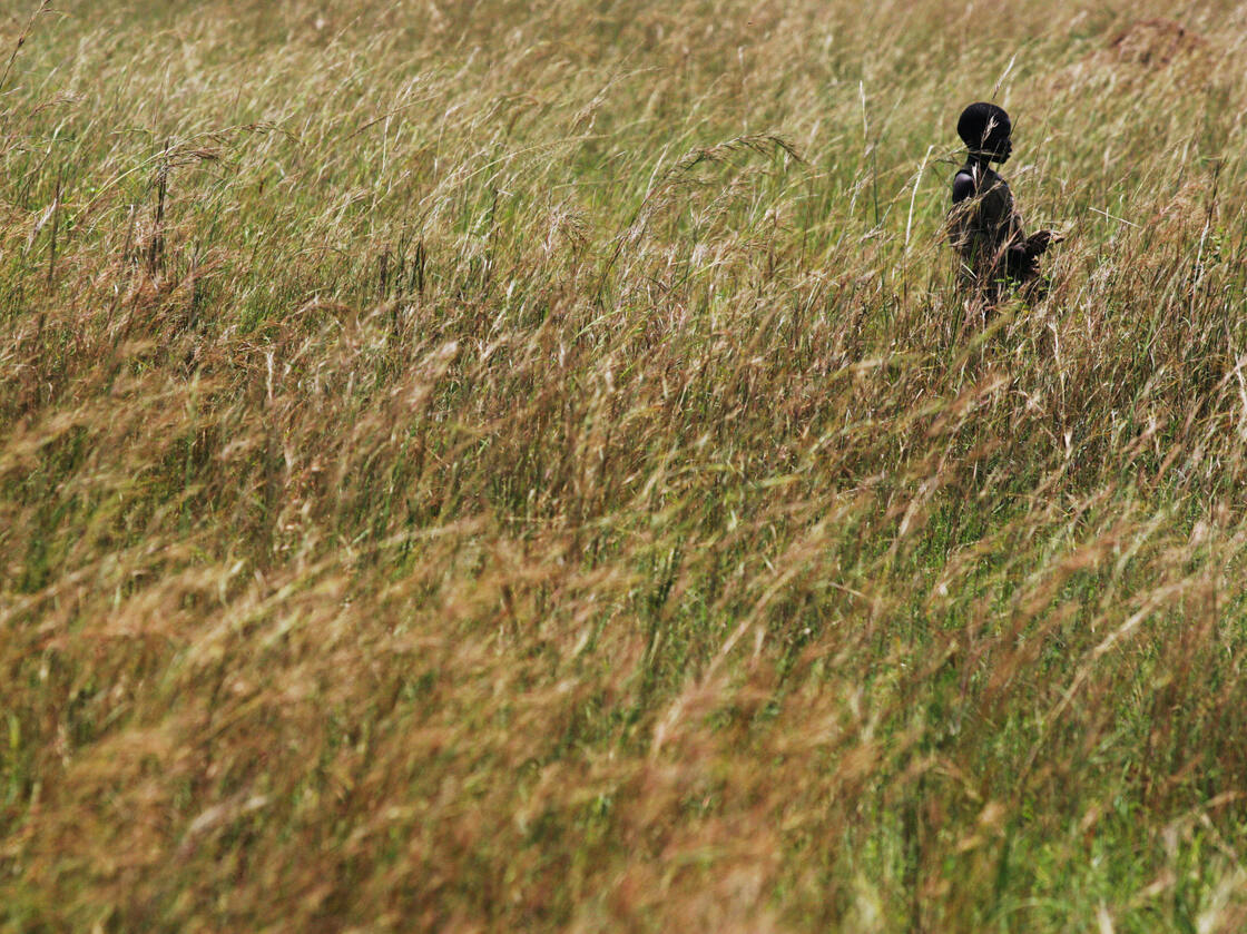 The first prehistoric chef who looked out at a field of grass in Africa and said, "dinner!" may have helped our ancestors use new resources in new locations.