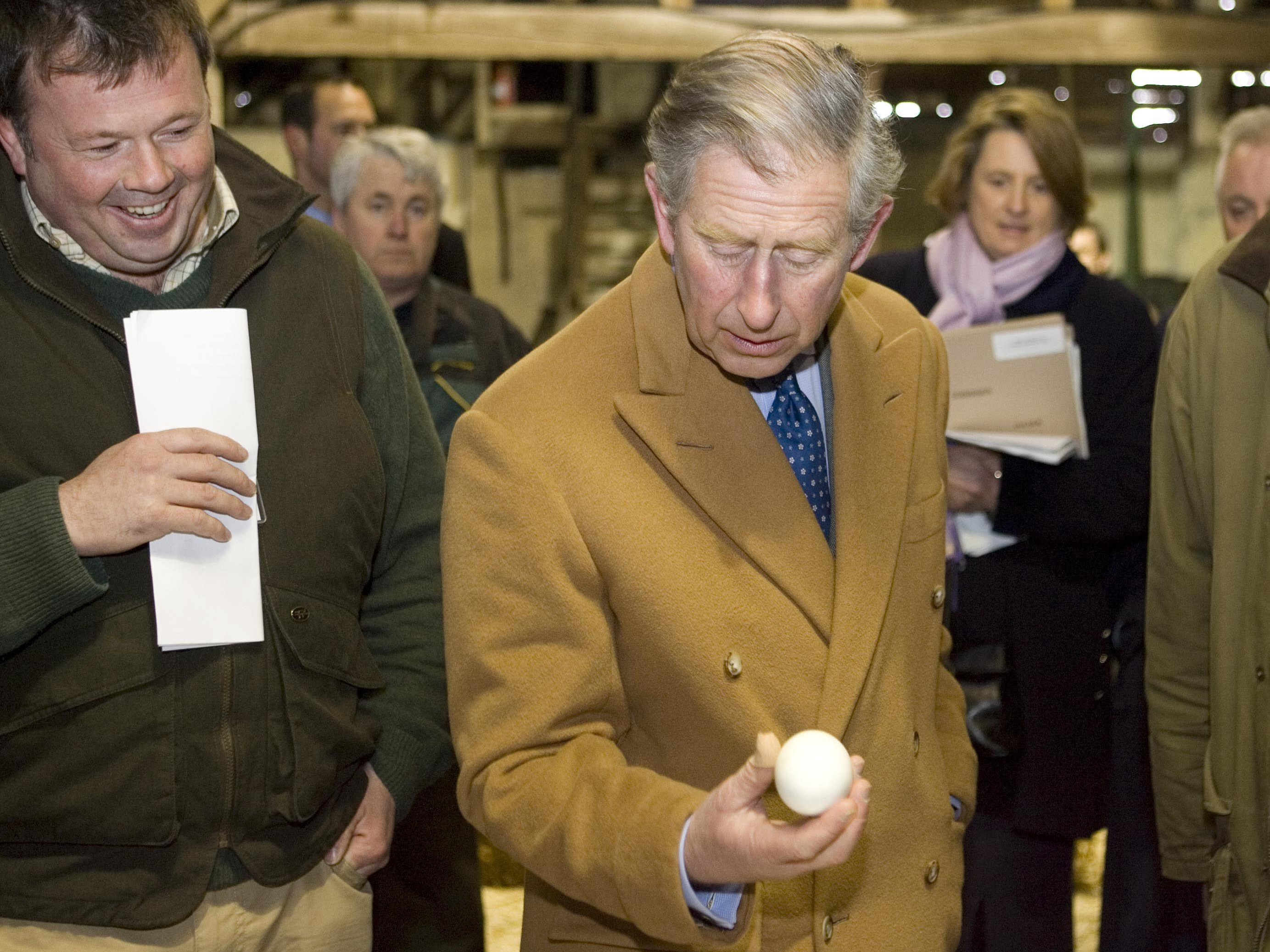 Prince Charles does like eggs, but he doesn't insist on being able to choose from among many, the palace says. Prince Charles does like eggs, but he doesn't insist on being able to choose from among many, the palace says.