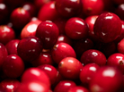 Cranberries Cranberries