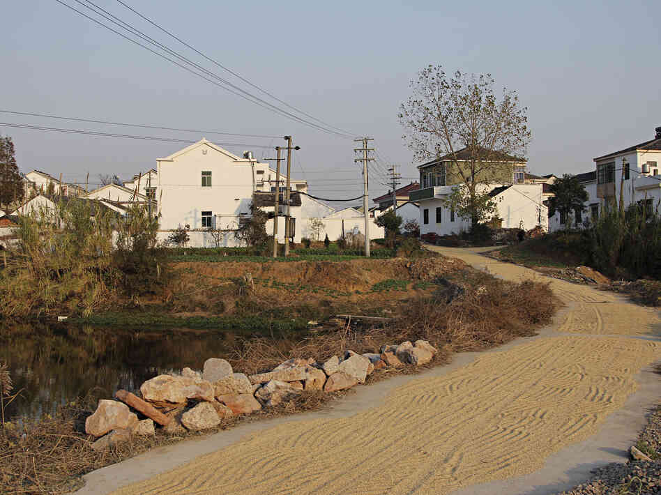 Dongjianggai, a farming village, lies about 200 miles northwest of Shanghai.