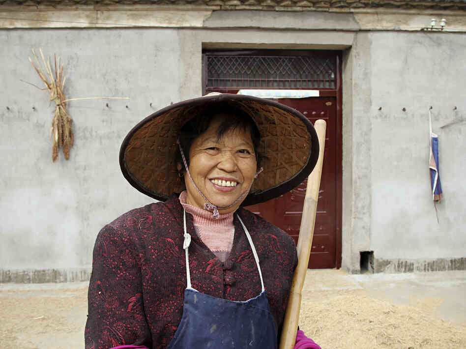 Wang Heying, 64, supports the new Communist leaders, even if she can barely name them. She says government  policies have led street lamps, bigger houses and a TV in every home.