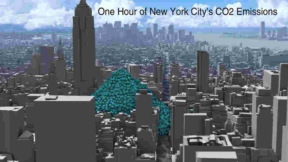 One Hour Of NYC's Carbon Dioxide Emissions
