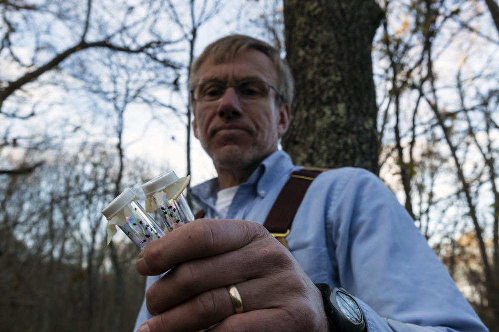 Last year, Tom Mather caught 15,000 deer ticks in the woods of southern Rhode Island. "People really need to become tick literate," the University of Rhode Island researcher says.