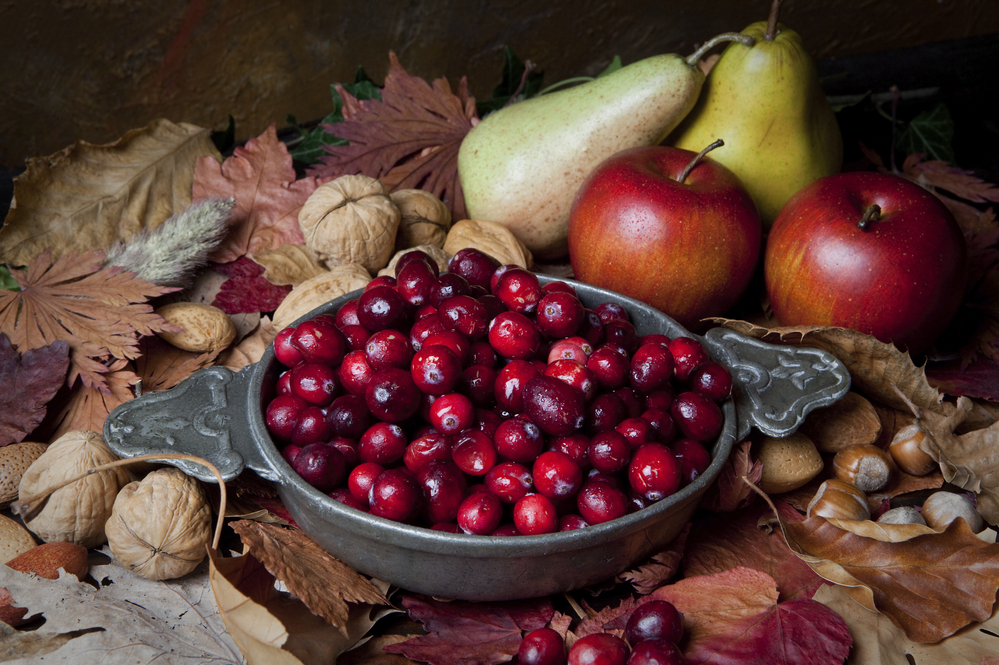 Hunting and gathering music for your Thanksgiving holiday? Check out our playlist.