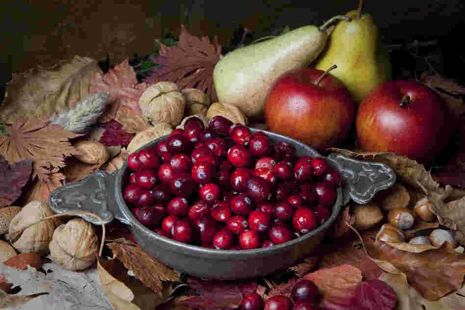 Hunting and gathering music for your Thanksgiving holiday? Check out our playlist.