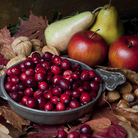 Hunting and gathering music for your Thanksgiving holiday? Check out our playlist. Hunting and gathering music for your Thanksgiving holiday? Check out our playlist.