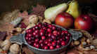 Hunting and gathering music for your Thanksgiving holiday? Check out our playlist. Hunting and gathering music for your Thanksgiving holiday? Check out our playlist.