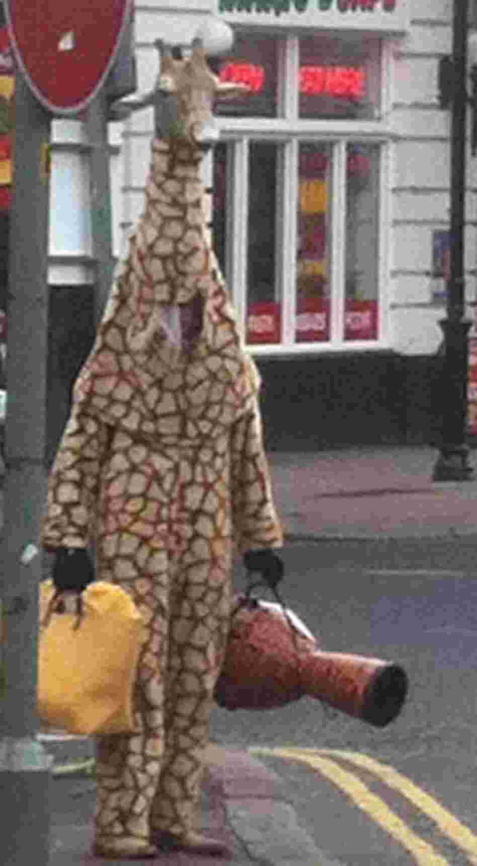 The Good Giraffe, trying to de-mean the streets of Dundee, Scotland.