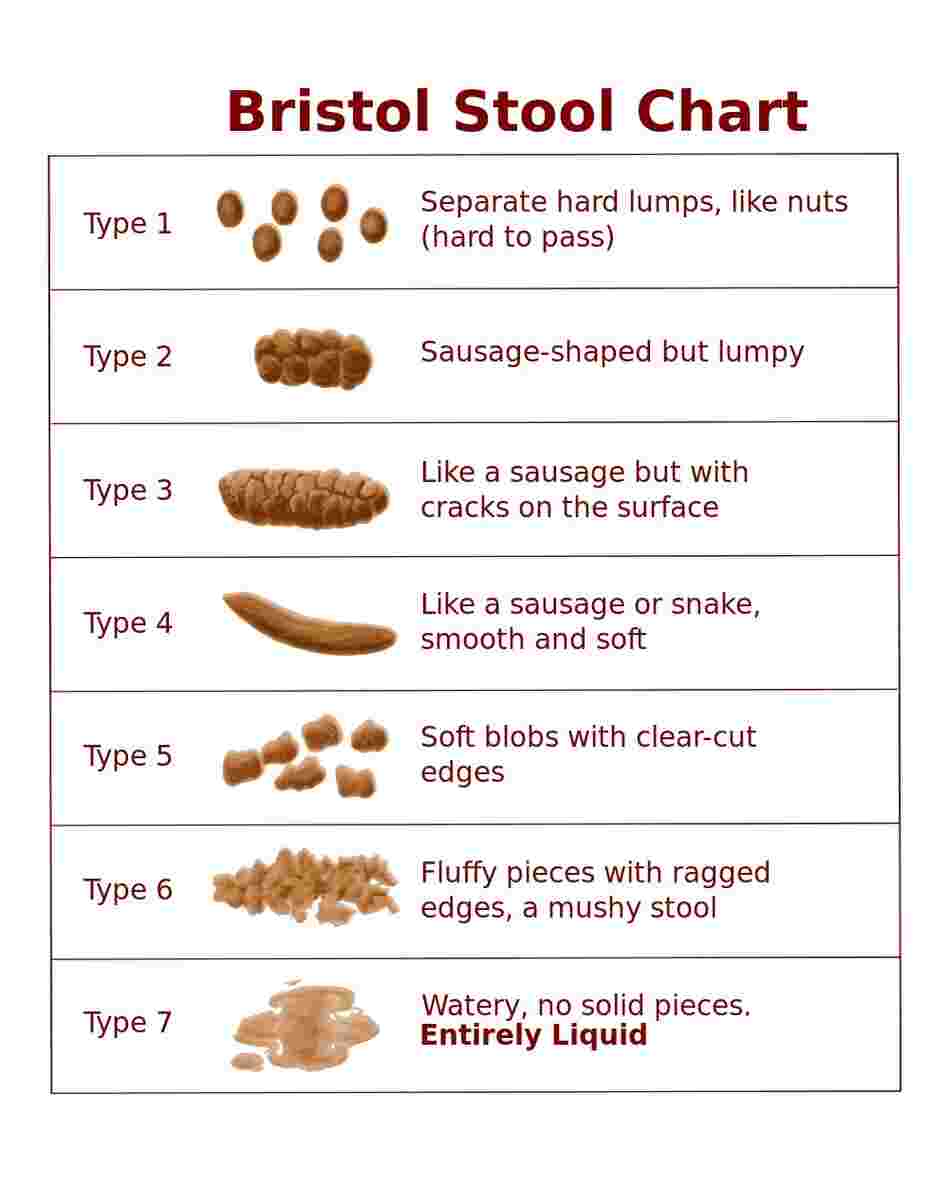 Healthy Stool Color