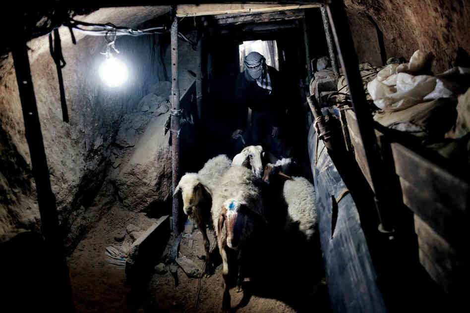 Lamb is a luxury most Gazans can afford only on important Muslim holidays. With many farms devastated by war, and with other land lying unproductive in areas restricted by Israel, livestock comes in by tunnel from Egypt.