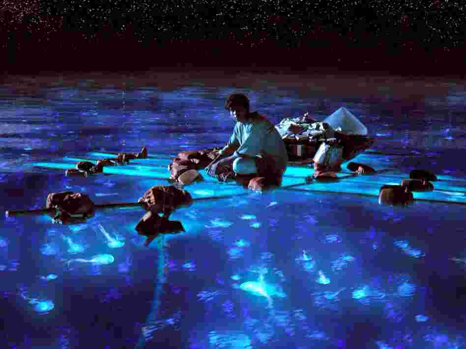 Pi takes in the bioluminescent wonders of the sea.