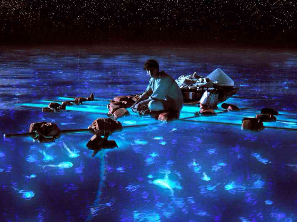 Pi takes in the bioluminescent wonders of the sea.