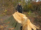 Ken Chaya created a map that charts every single tree in New York's Central Park. He stands next to one of the thousands of trees uprooted by Sandy. Ken Chaya created a map that charts every single tree in New York's Central Park. He stands next to one of the thousands of trees uprooted by Sandy.
