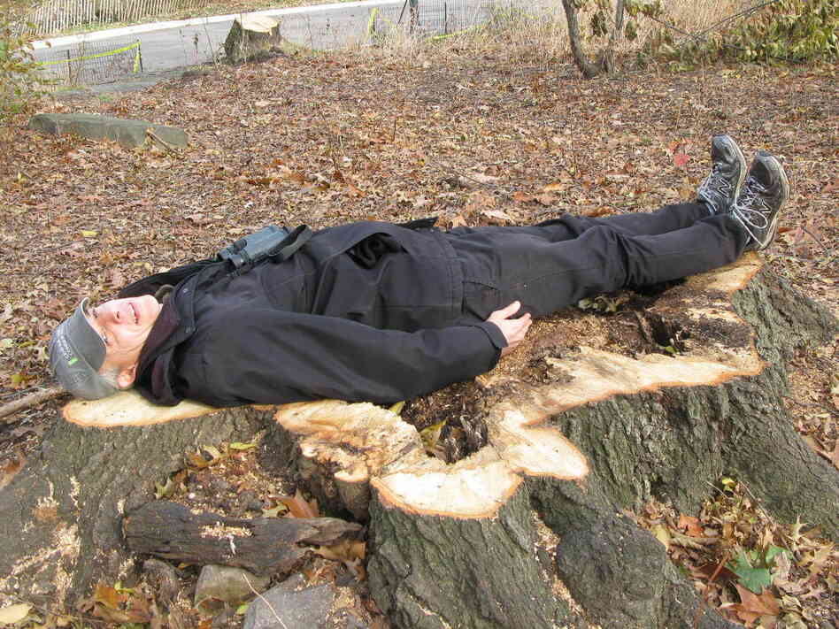 Chaya, who is 6 feet tall, lies down on a massive stump of a Northern Red Oak, the center rotted out.