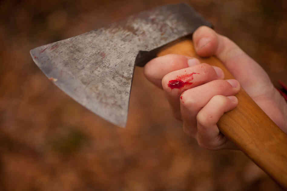 A large part of winter on the farm is learning the theory of forestry management, as well as gaining the practical skills of ax and chain saw handling.