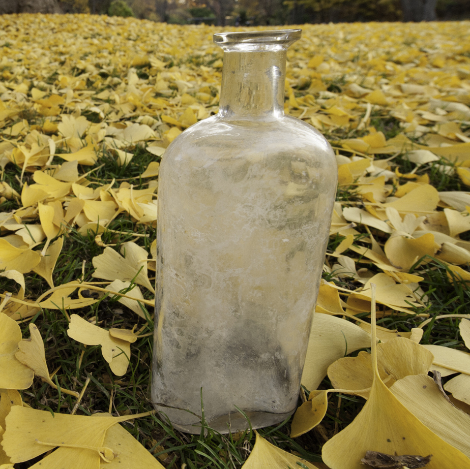 Bottles like this 90-year-old one were filled with seeds and sand, then buried by William Beal. Researchers periodically unearth a bottle and plant the seeds to see if they grow.