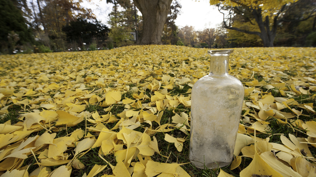 Bottles like this 90-year-old one were filled with seeds and sand, then buried by William Beal. Researchers periodically unearth a bottle and plant the seeds to see if they grow.