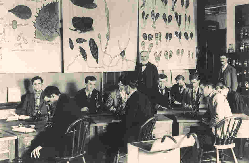 William Beal, standing at center, started a long-term study on seed germination in 1879. He buried 20 bottles with seeds in them for later researchers to unearth and plant.