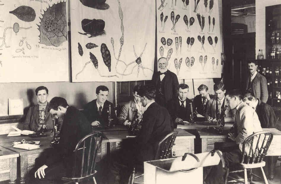 William Beal, standing at center, started a long-term study on seed germination in 1879. He buried 20 bottles with seeds in them for later researchers to unearth and plant.