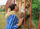 Ana Julia Torres cares for hundreds of abused animals at a refuge in Cali, Colombia, including this lion named Jupiter. Many of the animals were previously owned by drug traffickers who have been arrested. Ana Julia Torres cares for hundreds of abused animals at a refuge in Cali, Colombia, including this lion named Jupiter. Many of the animals were previously owned by drug traffickers who have been arrested.