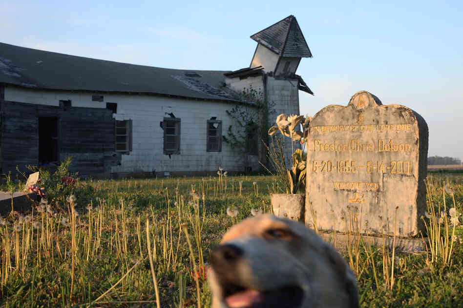 "The Peter's Rock Church in Marianna is no everlasting monument; it has been left to rot, its windows broken, its steeple fallen over. Still, I found it beautiful. Kneeling in the cemetery, listening to the insects hissing, watching as a dog wandered past, I felt history coming at me from all sides."