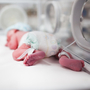 By sequencing a newborn's genome, doctors could screen for more genetic conditions. But parents could be confronted with confusing or ambiguous data about their baby's health.