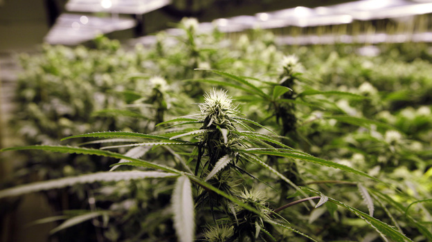 Legalized marijuana in Colorado and Washington state may open the door to a new kind of tourism.