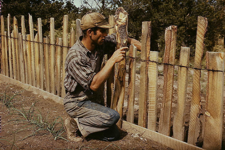 Jack Whinery, homesteader, repairing a fence, 1940