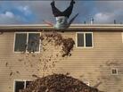 Falling into the leaves. Falling into the leaves.