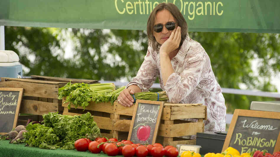 Flying 'Solo': Robert Carlyle plays a burnout Britpop veteran drinking his way through a second career among the farmers markets of Southern California — until a DUI bust sends him into a tailspin.