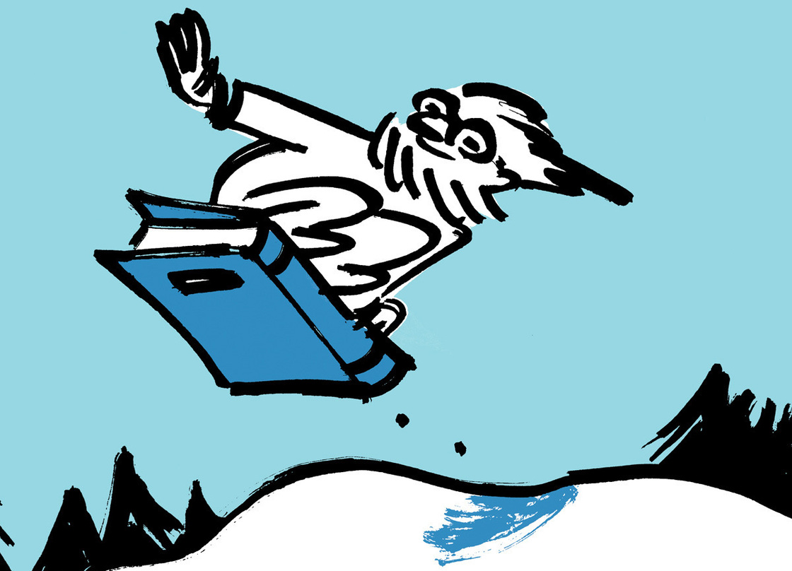 Cheuse illustration