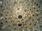 A worker inspects a huge target chamber at the National Ignition Facility in California, in 2001, where beams from 192 lasers are aimed at a pellet of fusion fuel in the hopes of creating nuclear fusion. A worker inspects a huge target chamber at the National Ignition Facility in California, in 2001, where beams from 192 lasers are aimed at a pellet of fusion fuel in the hopes of creating nuclear fusion.