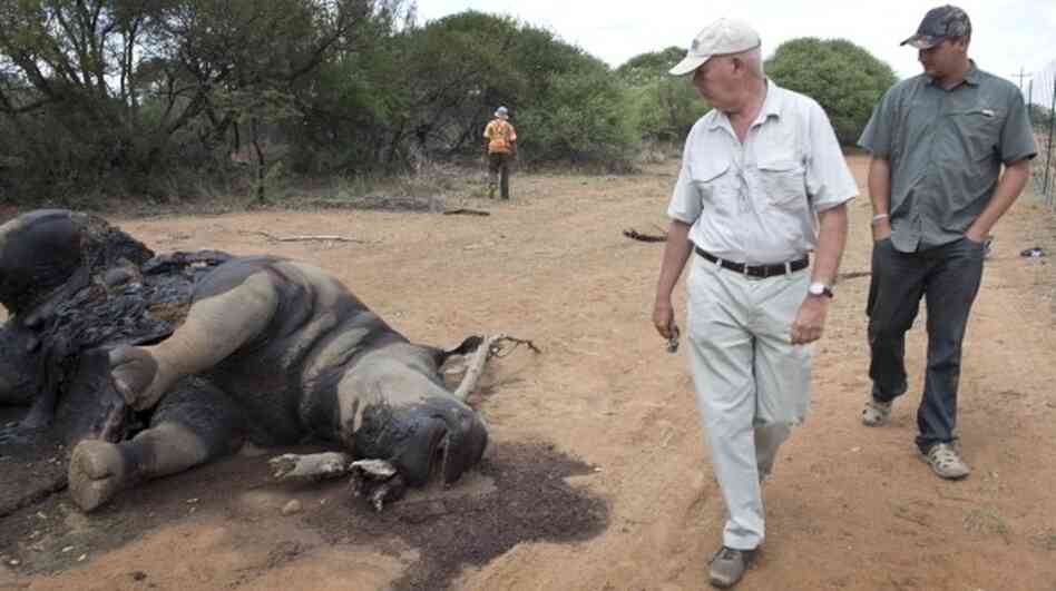 Miles Lappeman (left) and his son Marc with the carcass of a rhino that was killed for its horn at their Finfoot Lake Reserve on Nov. 24 in South Africa. This was one of eight rhinos slaughtered by poachers.