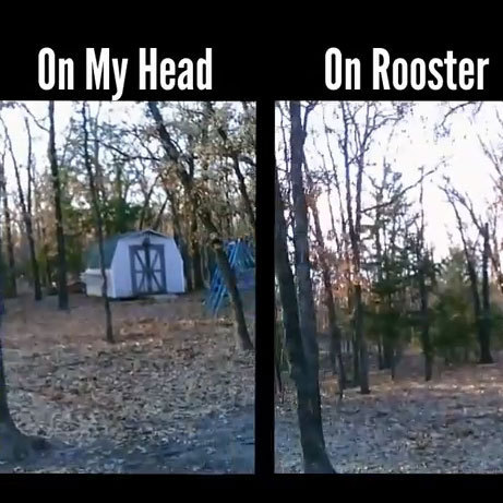 Side-by-side comparison
