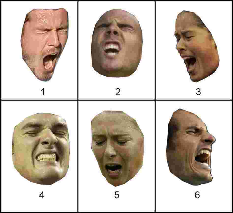 Can You Tell Emotion From Faces Alone? A new study suggests that when people evaluated just facial expressions — without cues from the rest of the body — they couldn't tell if the face was showing a positive or negative emotion. Enlarge this photo to see the answers.
