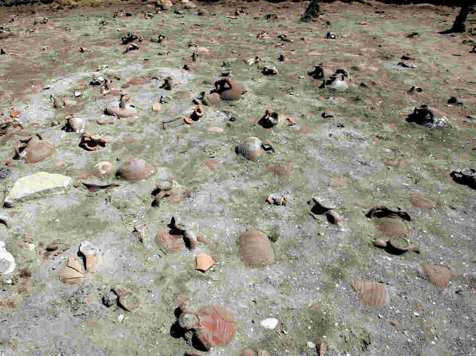 The archaeological finds include millions of shards of pottery.
