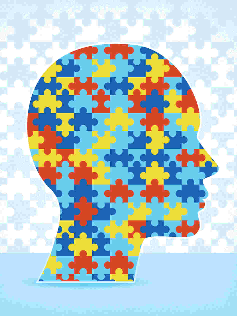 Psychiatrists and other mental health practitioners use the DSM to help them piece together their patients' mental conditions.