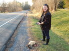 When wildlife ecologist Danielle Garneau finds roadkill, she uploads data about it onto her smartphone. When wildlife ecologist Danielle Garneau finds roadkill, she uploads data about it onto her smartphone.