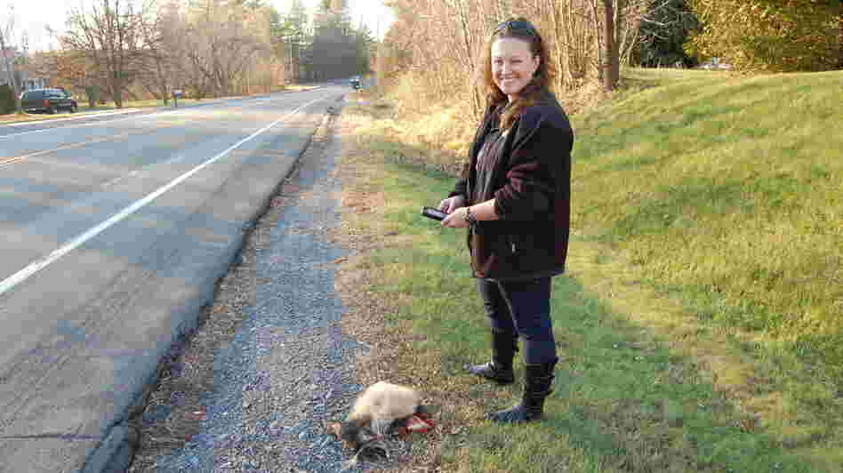 When wildlife ecologist Danielle Garneau finds roadkill, she uploads data about it onto her smartphone.