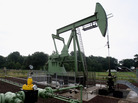Oil Oil