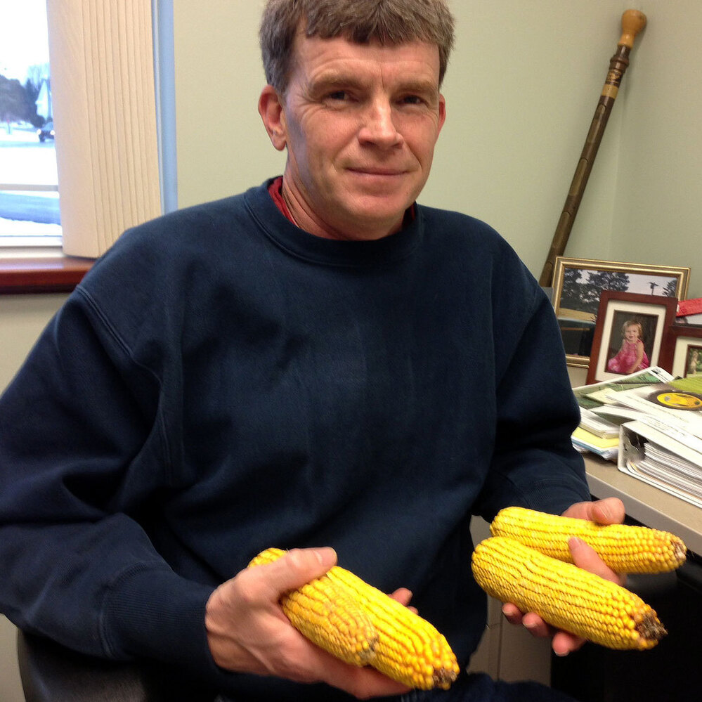 Clark Putman, the local director of the USDA's Farm Service Agency, keeps ears of corn on his desk as a reminder of how the high cost of feed is threatening dairy farmers' livelihood.