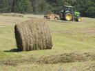 That's a valuable commodity: A hay bale at a farm in Eatonton, Ga., earlier this year. That's a valuable commodity: A hay bale at a farm in Eatonton, Ga., earlier this year.