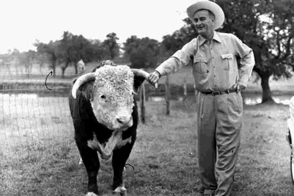 Lyndon Johnson, then the vice president-elect, with a prize-winning Hereford bull on his ranch near Johnson City, Texas, in 1960. Linguists say the twang that has long been synonymous with Texans is fading. Lyndon Johnson, then the vice president-elect, with a prize-winning Hereford bull on his ranch near Johnson City, Texas, in 1960. Linguists say the twang that has long been synonymous with Texans is fading.