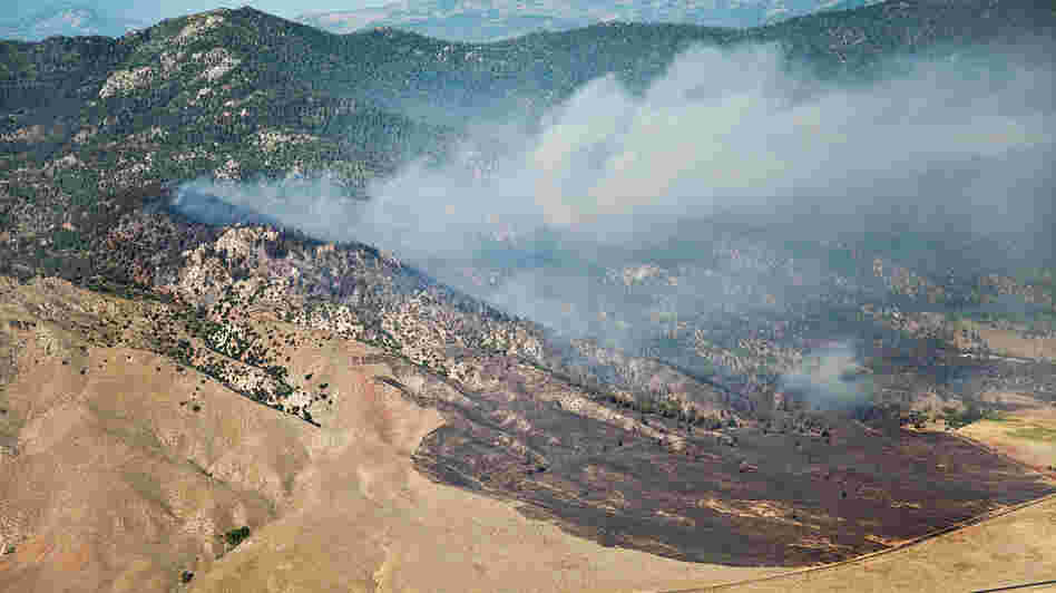 The Constantina Fire burning in Long Valley, Calif., in 2010, very likely started in cheatgrass. The Constantina Fire burning in Long Valley, Calif., in 2010, very likely started in cheatgrass.