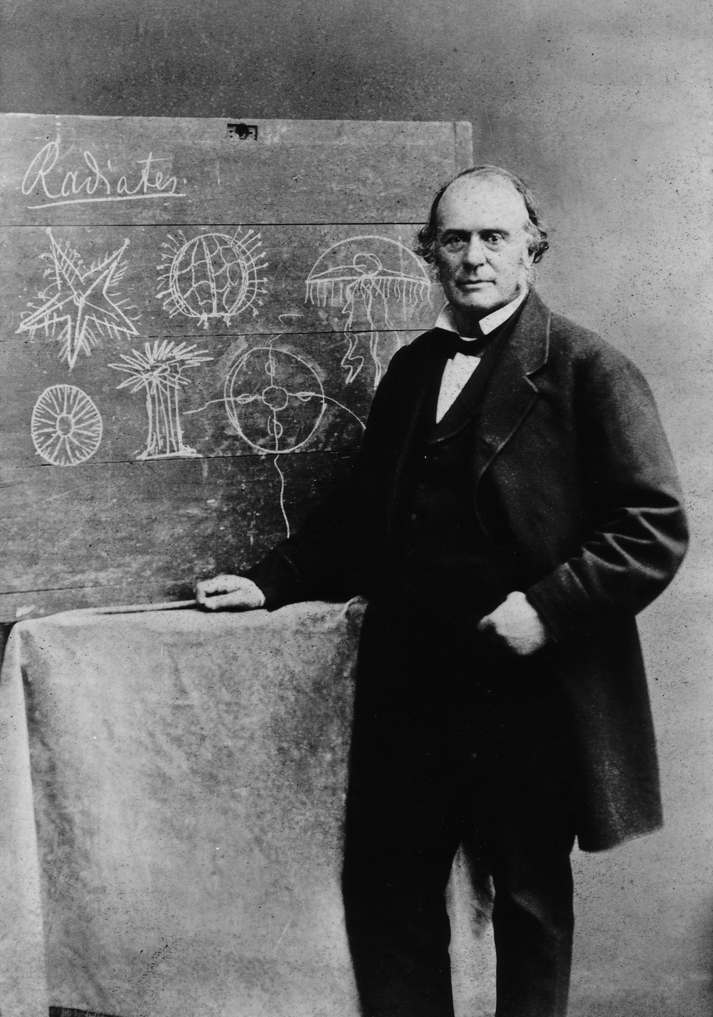 Louis Agassiz