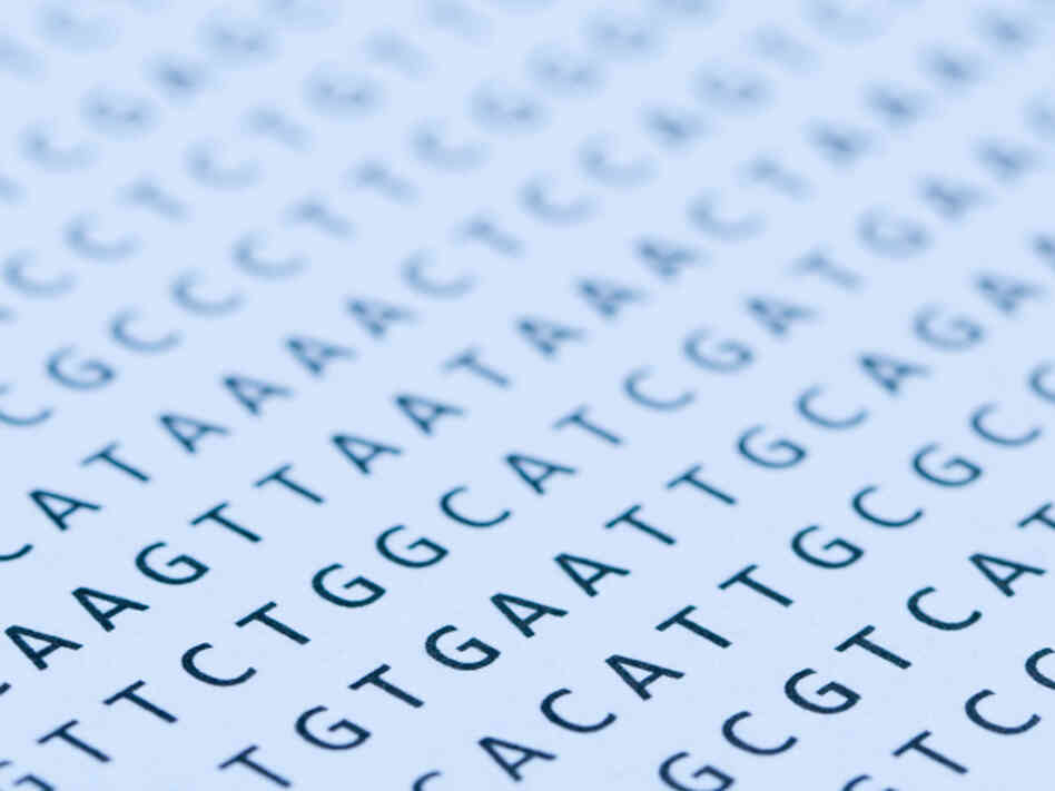 When researchers looked at the genetic sequences of 179 individuals, they found far more defects in the patterns of As, Ts, Gs, and Cs than they expected.